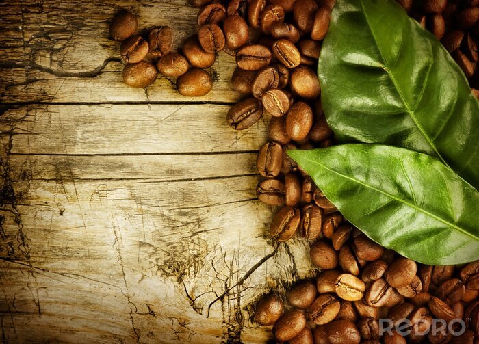 Bild Kleine Kaffeebohnen Blätter und Holz