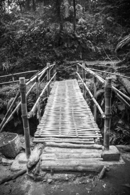 Kleiner schwarz-weiße Brücke im Wald