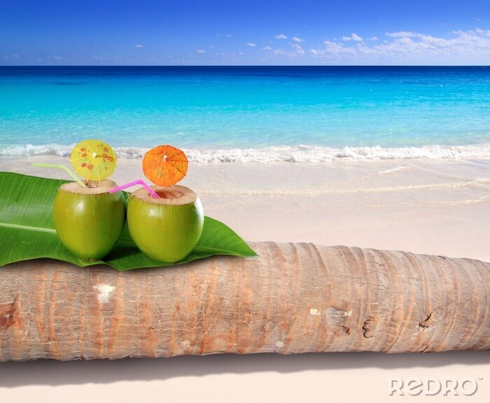 Bild Kokosnuss-Cocktails am tropischen Meer