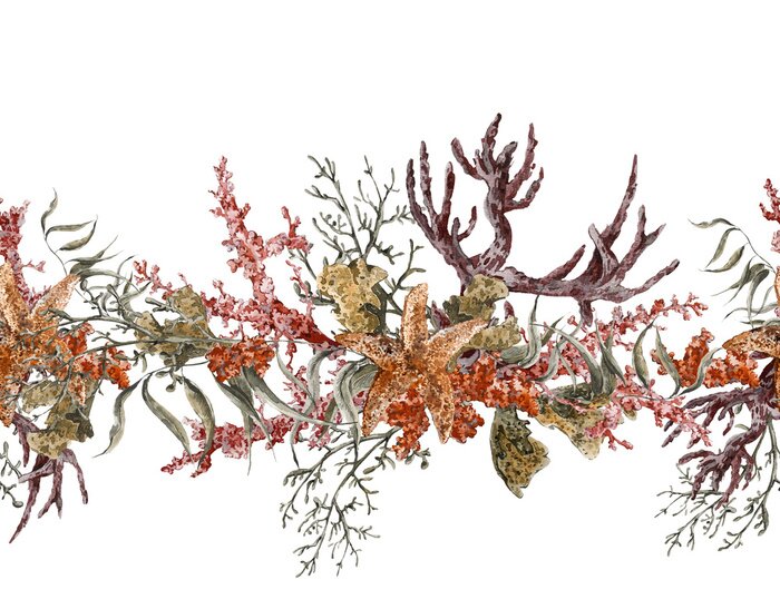 Bild Korallenriff in Retro-Farben