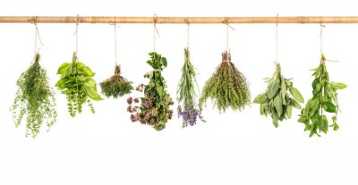 Fototapete Kräuter auf Holzbalken