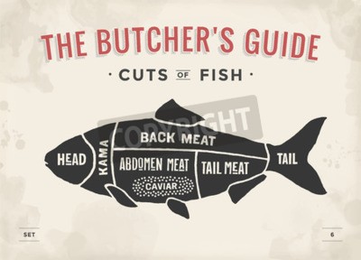 Bild Küchentafel Fische