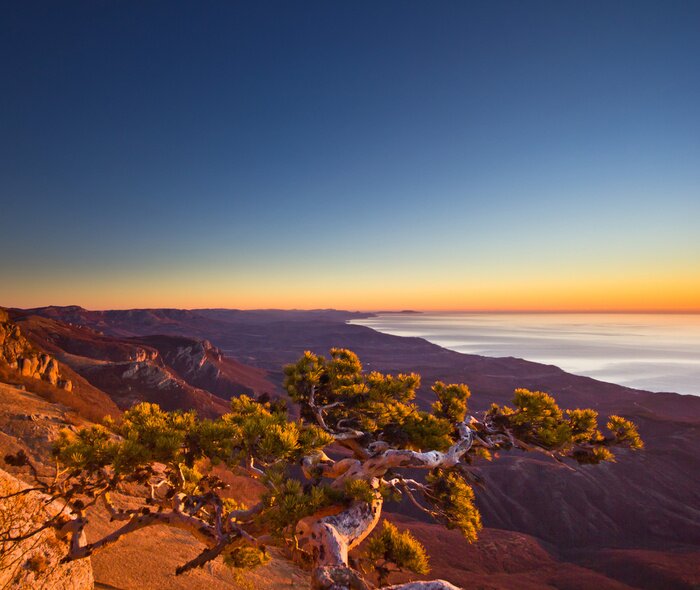 Bild Küste auf der Landschaft