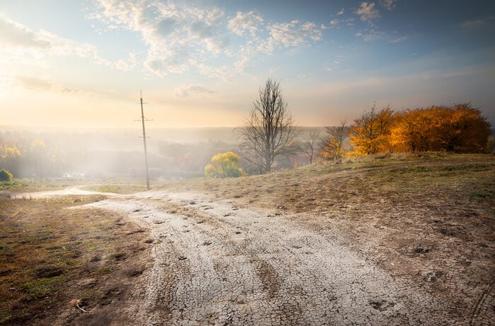 Bild Ländlicher Weg auf der Landschaft
