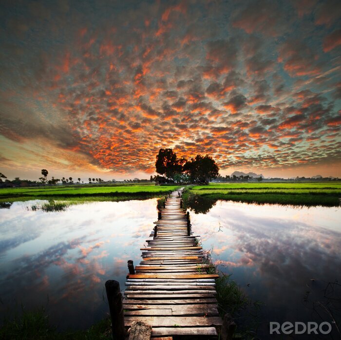 Bild Landschaft am Wasser