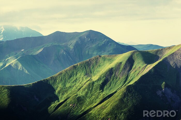 Bild Landschaft der grünen Berge