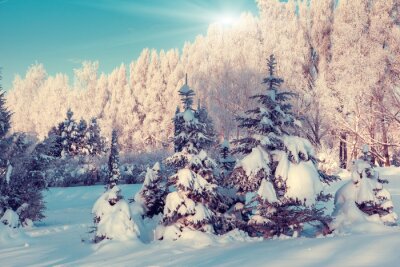 Landschaft der schneebedeckten Bäume