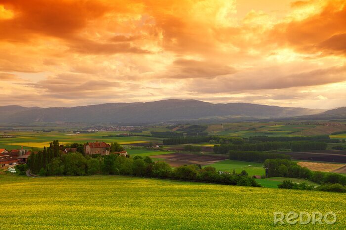 Bild Landschaft der Wiese am Morgen