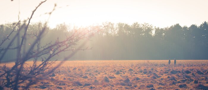 Bild Landschaft des Herbstabends