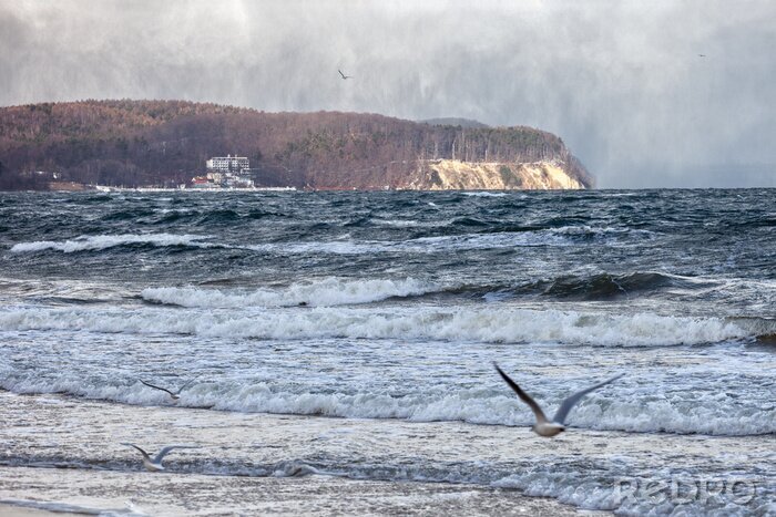 Bild Landschaft des polnischen Strandes in Orłowo