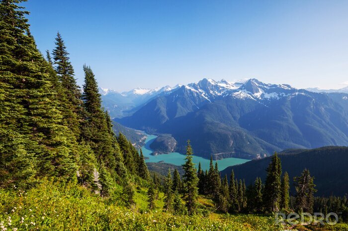 Bild Landschaft des Sees Diablo