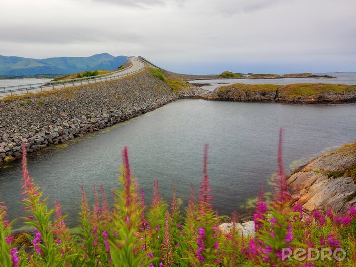 Bild Landschaft mit dem Atlantic Way