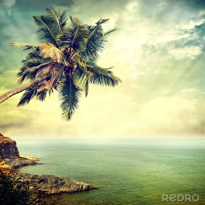 Bild Landschaft mit Palmen im Vordergrund