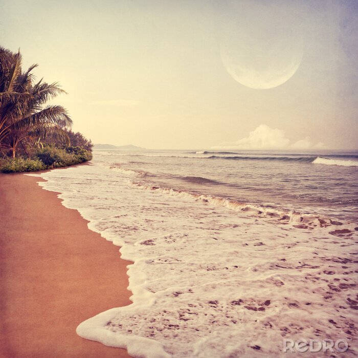 Bild Landschaft mit Strand und Mond