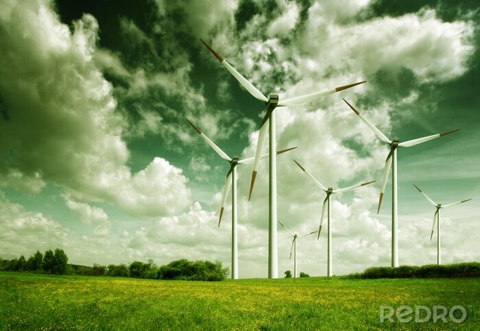 Bild Landschaft mit Windmühlen auf dem Feld