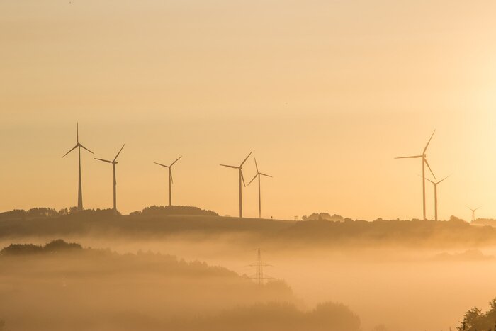 Bild Landschaft mit Windrädern im Nebel