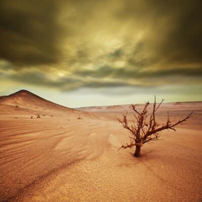 Landschaft mit Wüste
