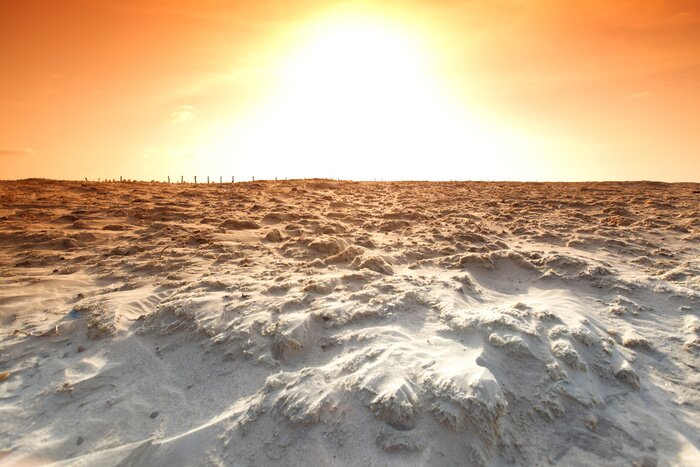 Bild Landschaft mit Wüste bei Sonnenuntergang