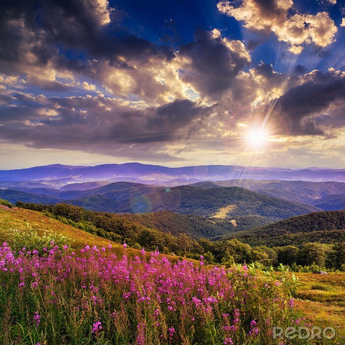 Bild Landschaft von Bergen und Blumen