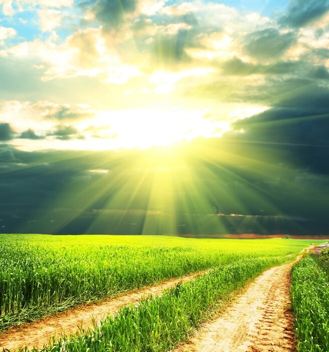 Bild Landweg in der Sonne