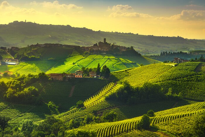 Bild Langhe vineyards view, Castiglione Falletto and La Morra, Piedmont, Italy Europe.