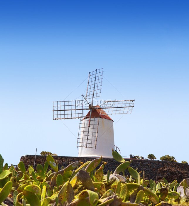 Bild Lanzarote Guatiza Windmühle