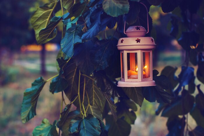 Bild Laternen und Pflanzen