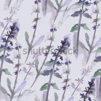 Bild Lavendel-Aquarellfarbe violett
