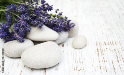 Bild Lavendel auf Felsen
