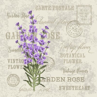 Bild Lavendel-Briefpapier