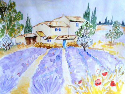 Bild Lavendel in einem Landhaus