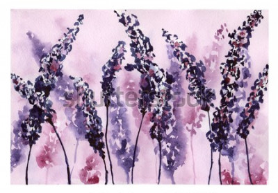 Bild Lavendel in violettem Aquarell