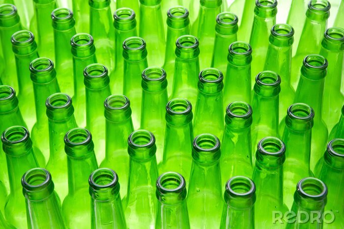 Bild Leere Bierflaschen im Grünen