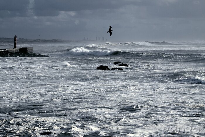 Bild Leuchtturm am Meer im Winter