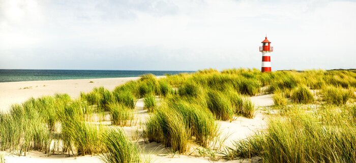 Bild Leuchtturm und Grün an der Küste