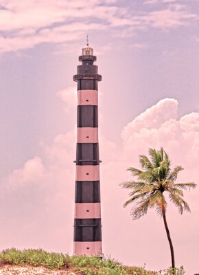 Bild Leuchtturm und Palmen
