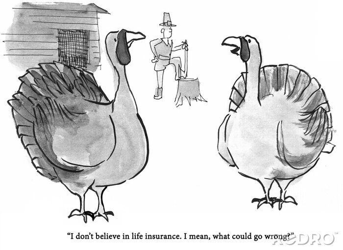 Bild Life insurance turkey