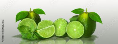 Bild Linden auf grauem Hintergrund