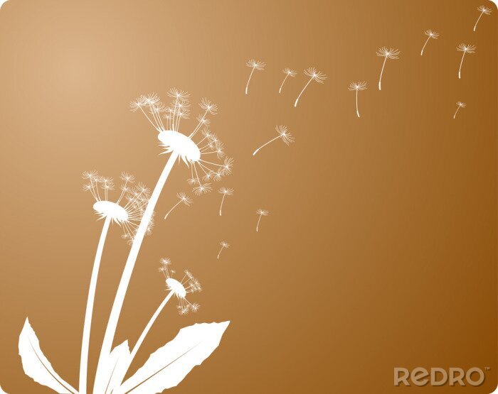 Bild Löwenzahnblüten mit fliegenden Samen