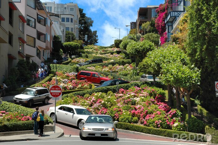 Bild Lombard Street in San Francisco