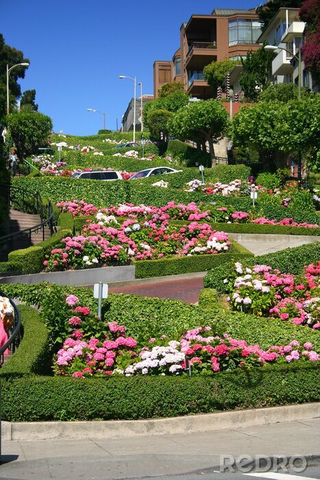 Bild Lombard Street in San Francisco