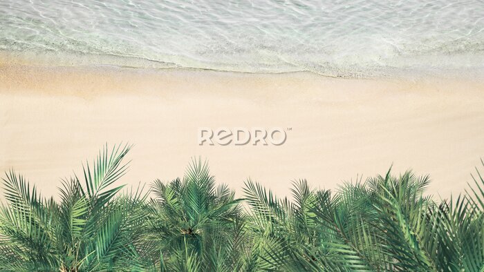 Bild Luftaufnahme der Palmen an der Küstenlinie