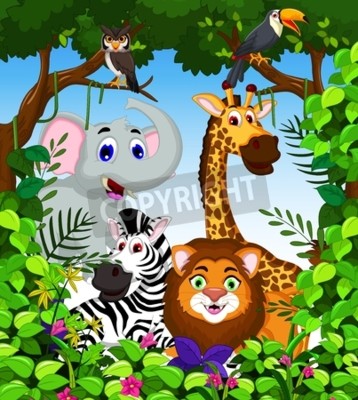 Bild Lustige Tierkarikaturansammlung im Dschungel