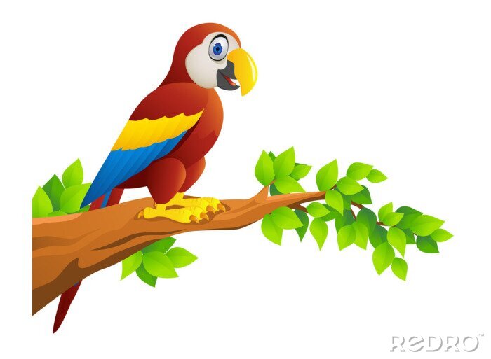 Bild Macawvogel