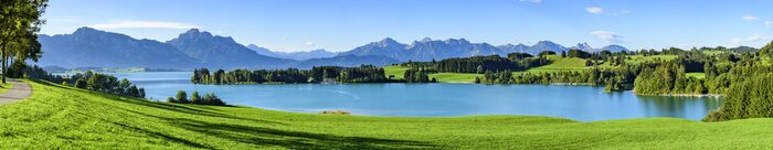 Bild Malerische Landschaft mit den Alpen im Hintergrund