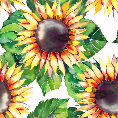 Bild Malerisches Detail mit Sonnenblumen