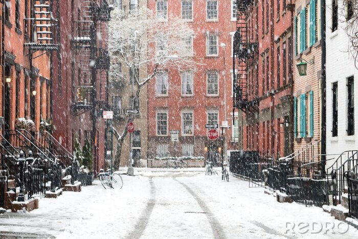 Bild Manhattan im Winter