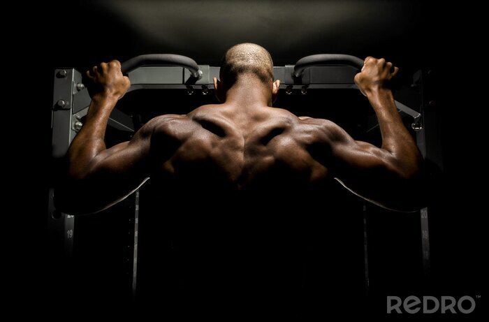 Bild Mann Fitnesstraining am Gerät