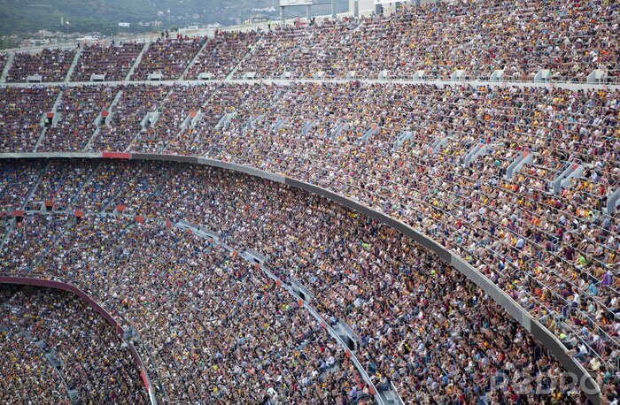 Bild Massen von Fans im Stadion