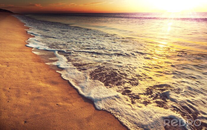 Bild Meeresküste in der Wildnis